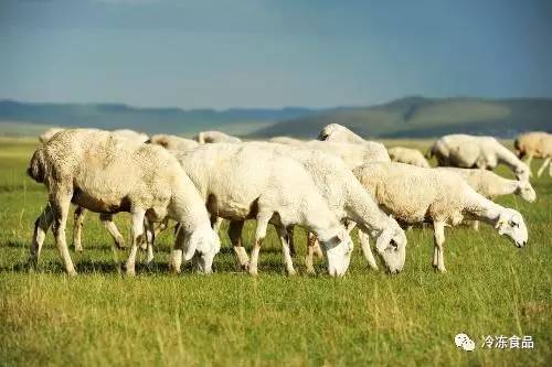 高品质牛羊草料袋 31591484036974.jpg